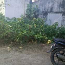 Lab view 16