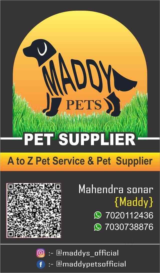 Top 10 Dog Hostels in Nashik Best Dog Boarding Schools Justdial