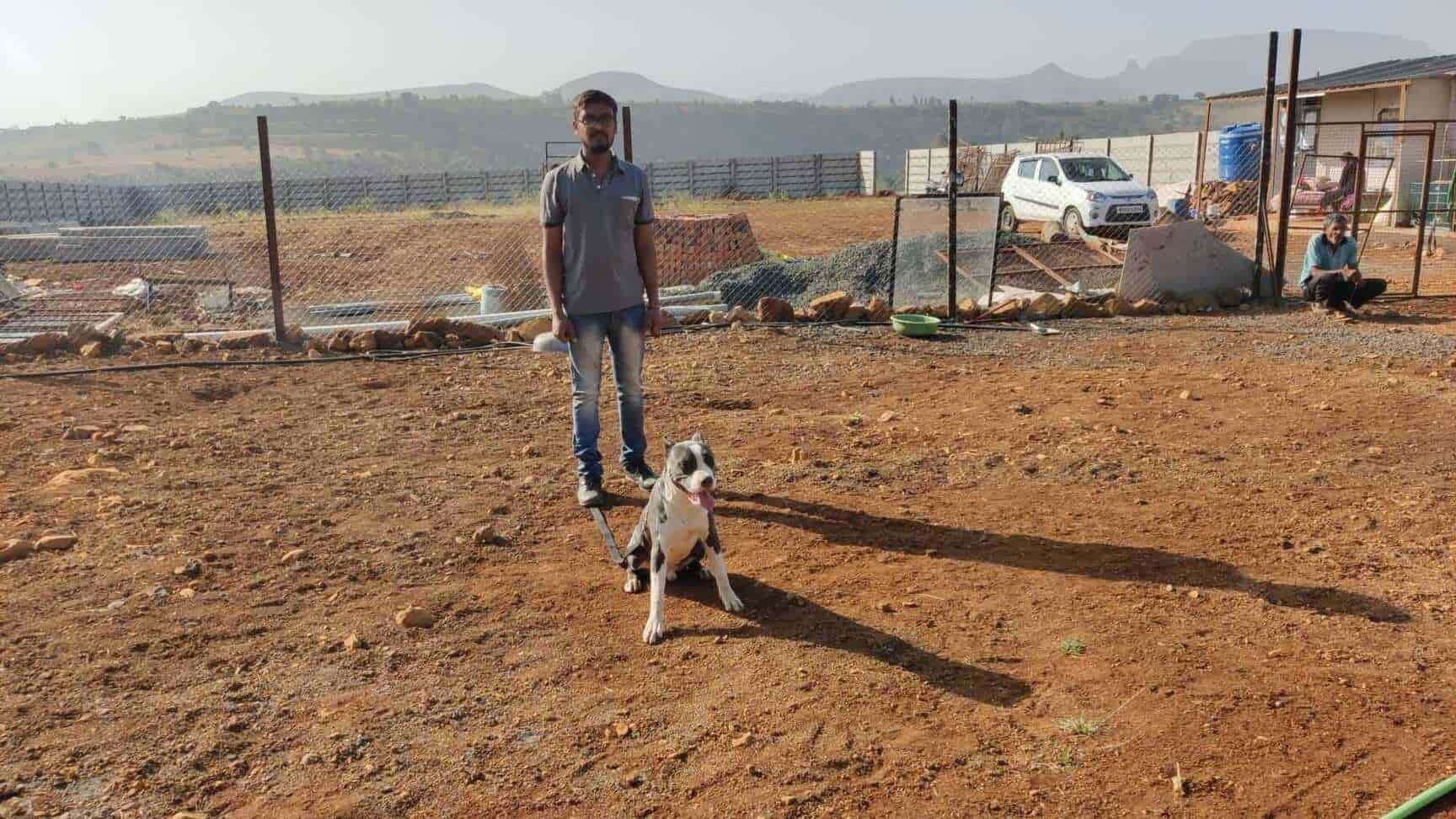 Top Dog Hostels in Nashik Best Dog Boarding Schools near me Justdial