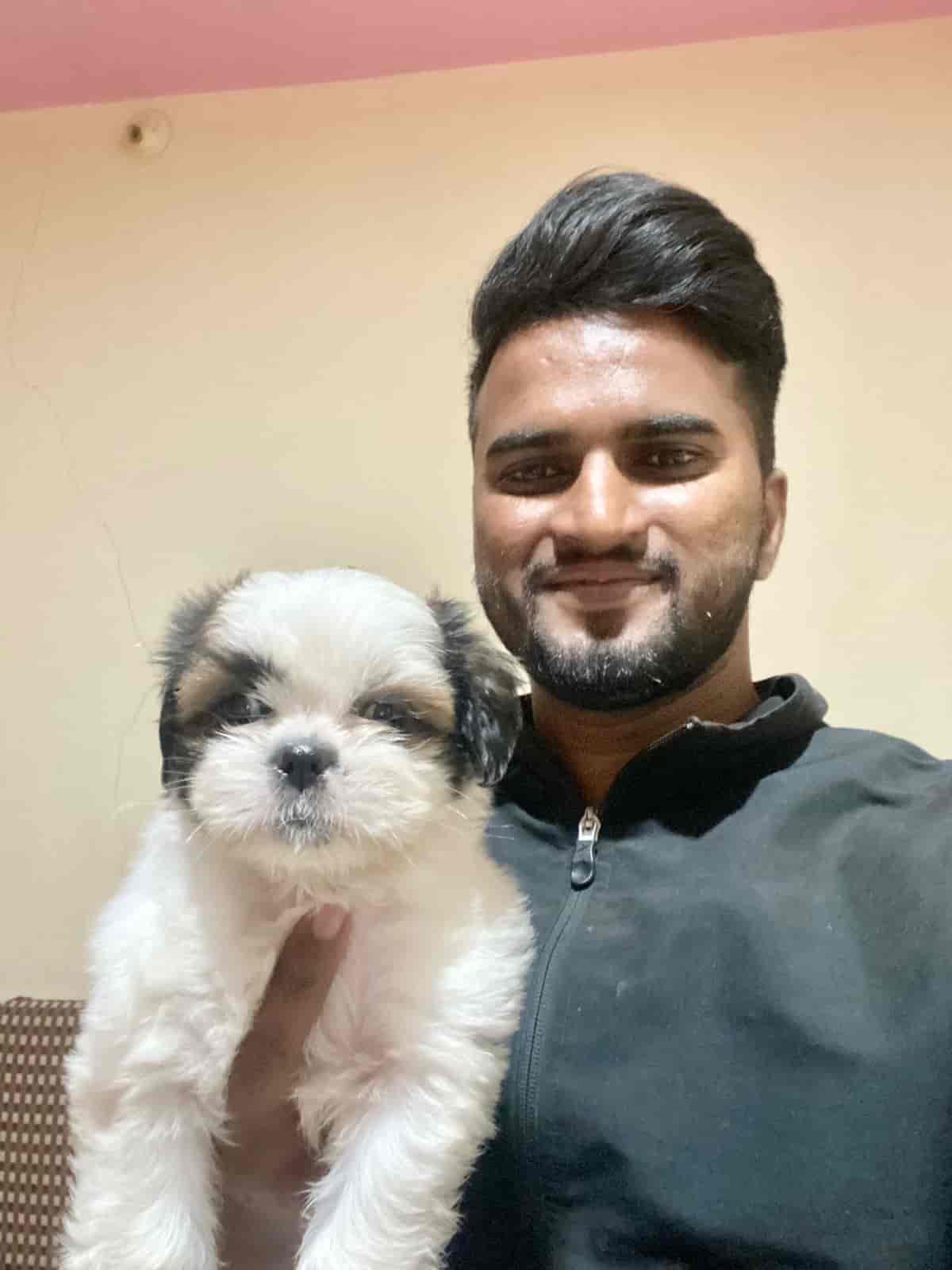 Top Dog Hostels in Nashik Best Dog Boarding Schools near me Justdial