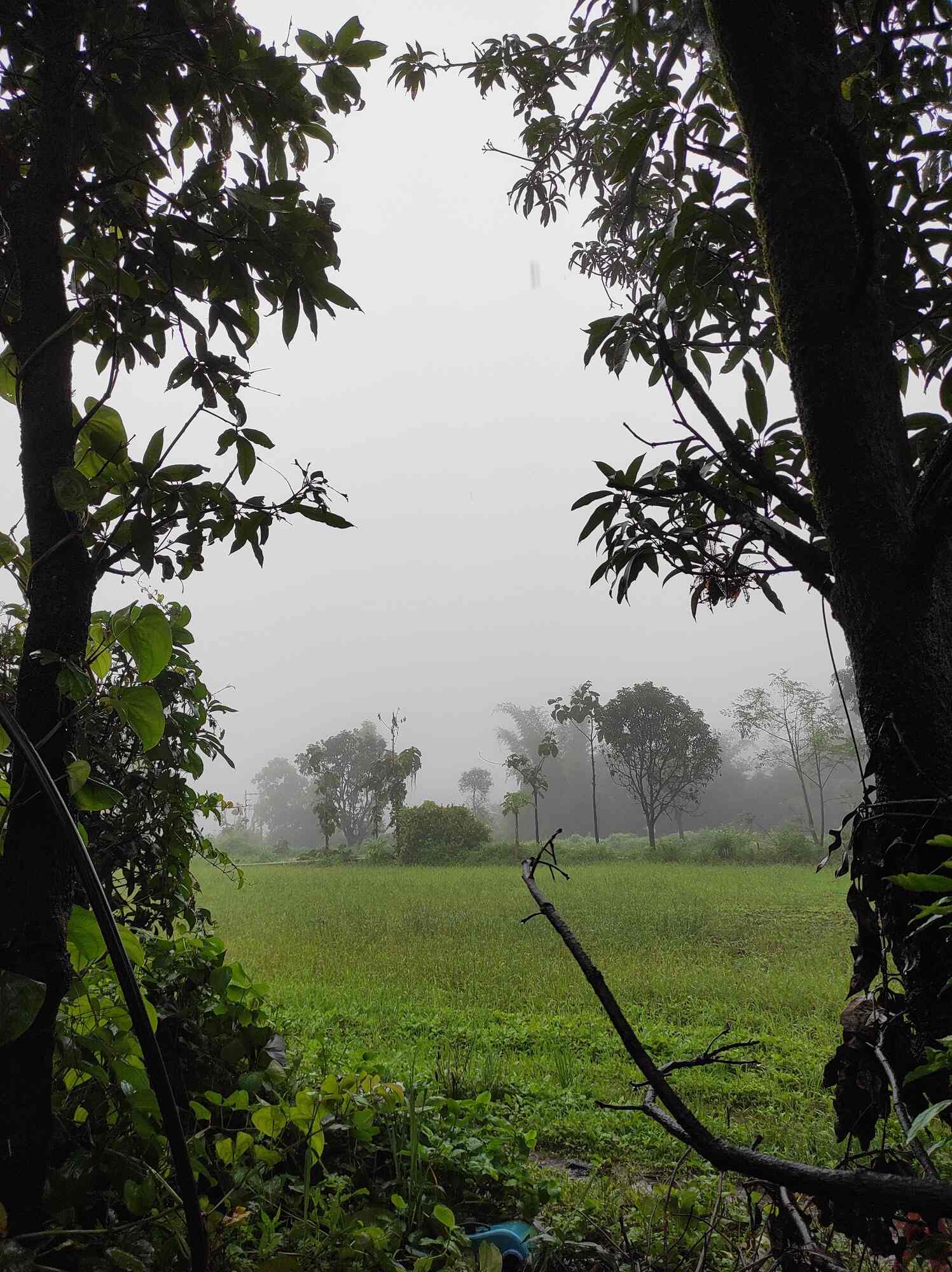 Book Raut Farms Pvt. Ltd in Surgana Vani Link Road,Nashik Best Farm