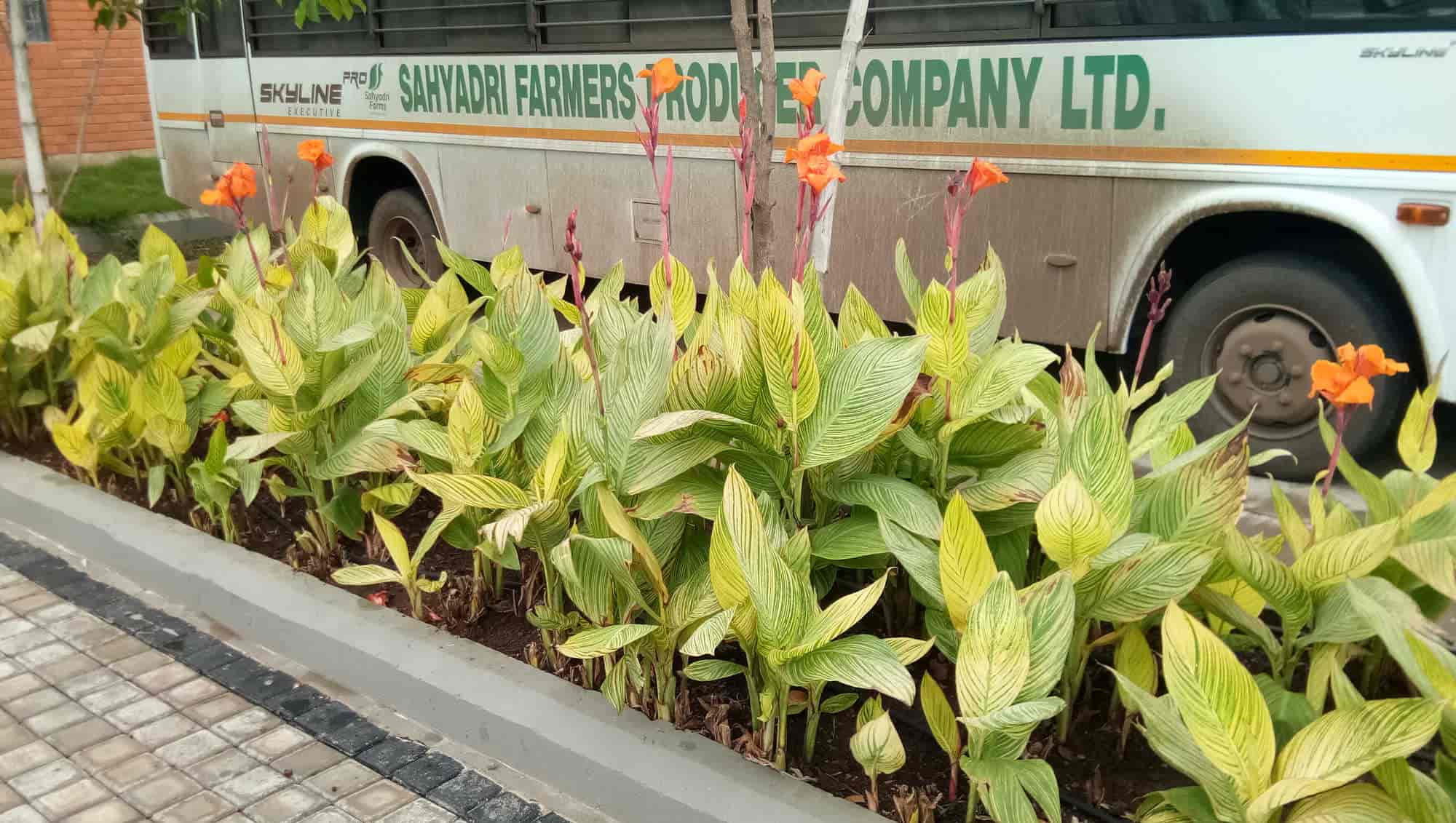 Top Plant Nurseries in Nashik Best Goverment Plant Nurseries near me