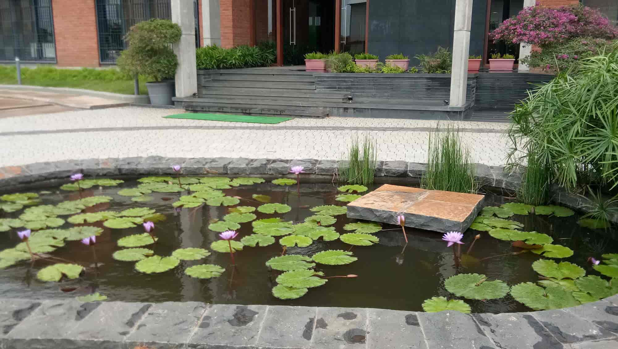 Top Plant Nurseries in Nashik Best Goverment Plant Nurseries near me