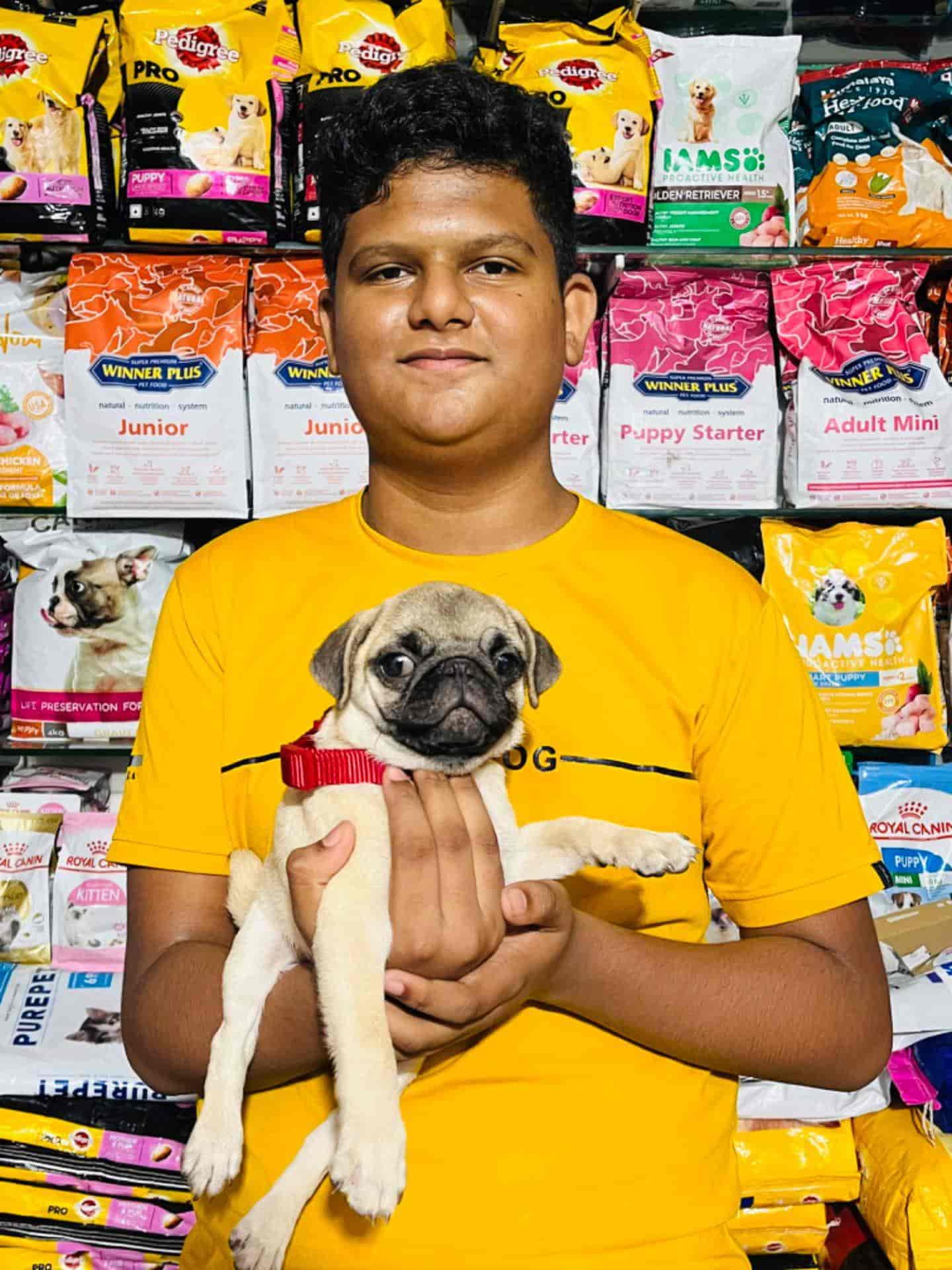 Top Dog Hostels in Nashik Best Dog Boarding Schools near me Justdial