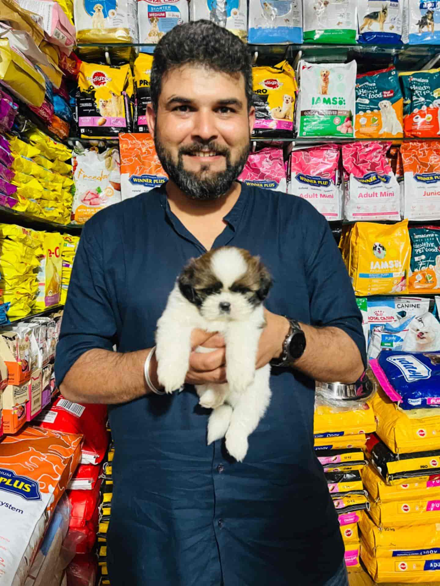 Top Dog Hostels in Nashik Best Dog Boarding Schools near me Justdial