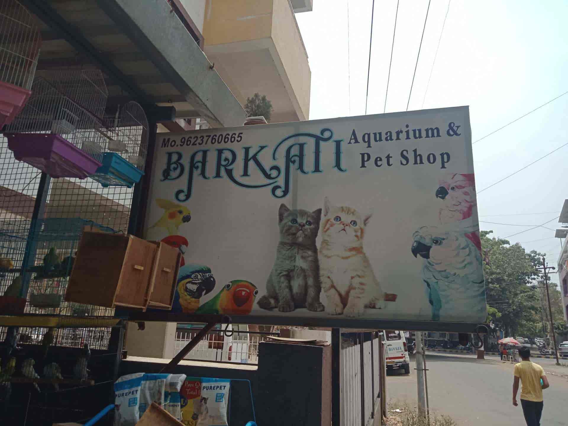 Barkati Aquarium in Indira Nagar Nashik,Nashik Best Aquariums in