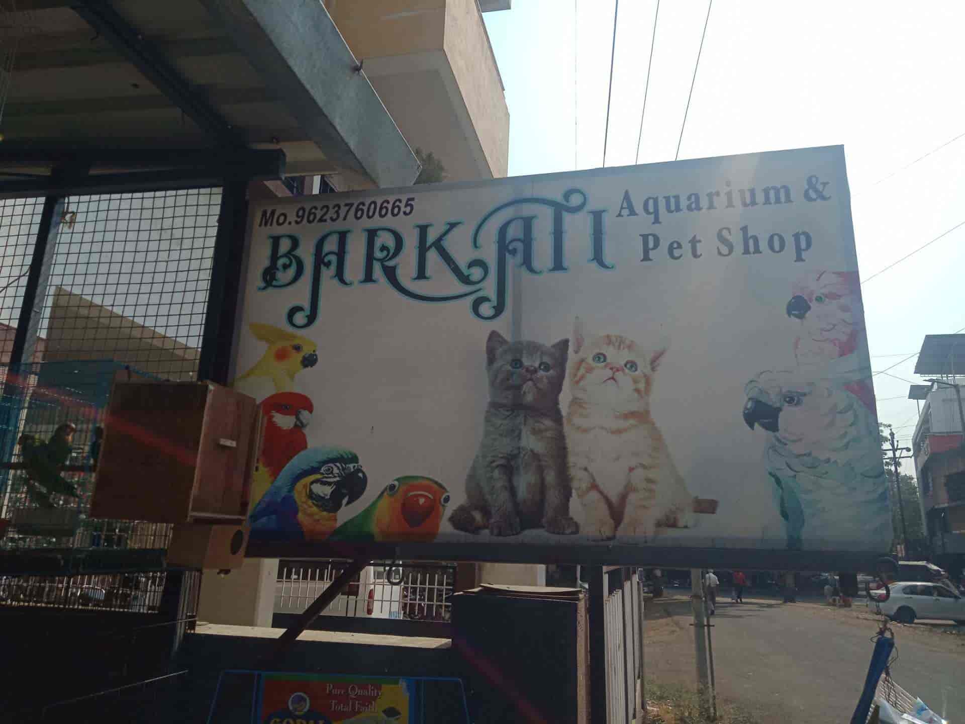 Barkati Aquarium in Indira Nagar Nashik,Nashik Best Aquariums in