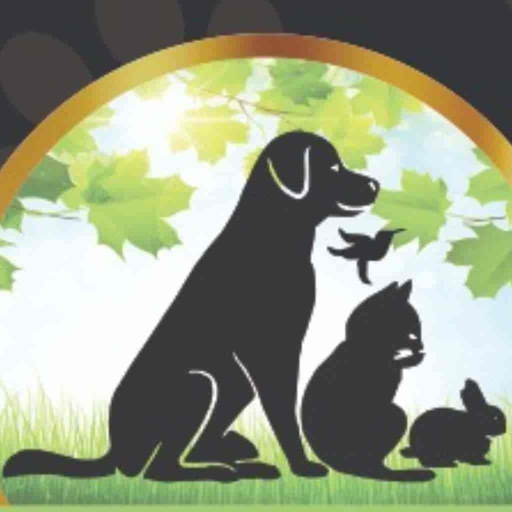 Top 30 Pet Shops For Labrador Dog in Nashik Best Labrador Dog Dealers