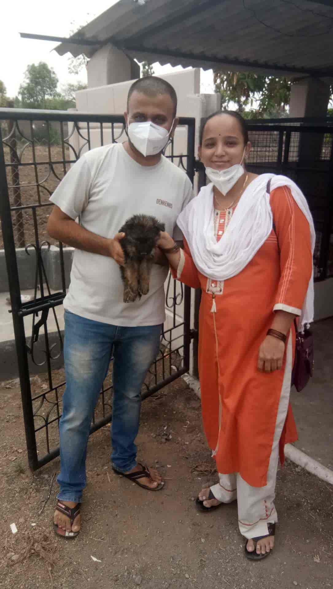 Top Dog Hostels in Nashik Best Dog Boarding Schools near me Justdial