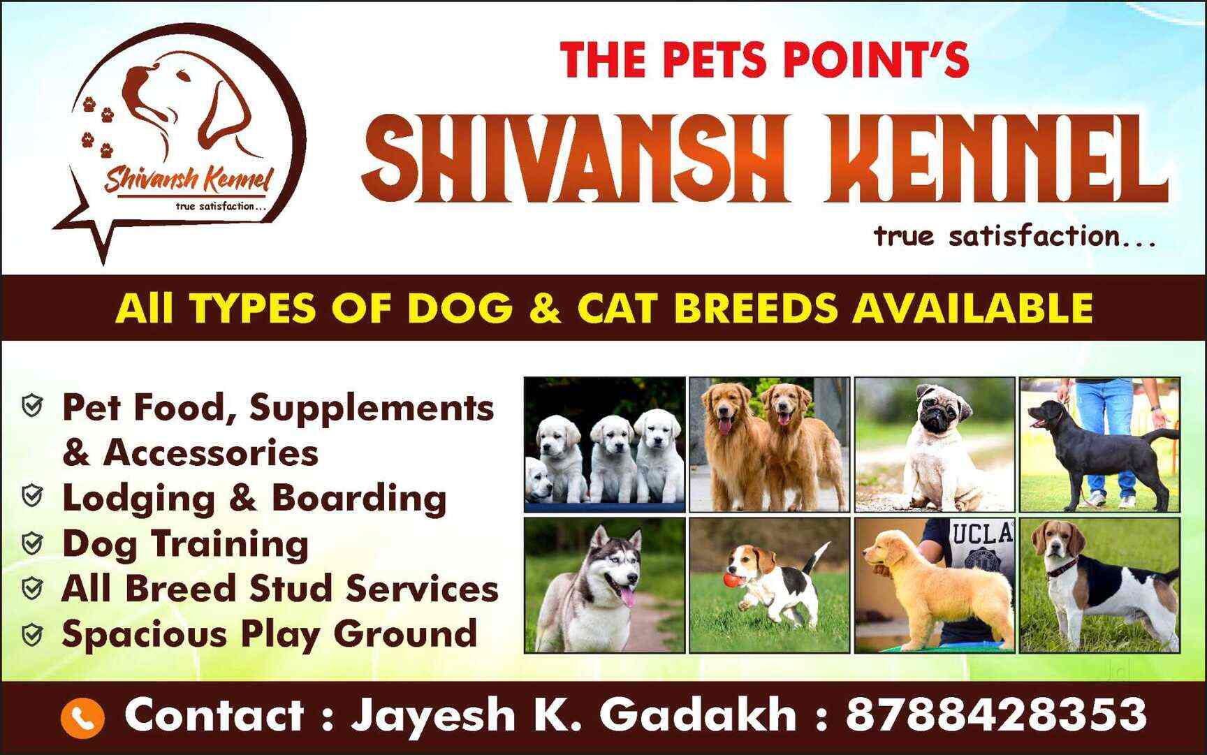 Top Dog Hostels in Nashik Best Dog Boarding Schools near me Justdial