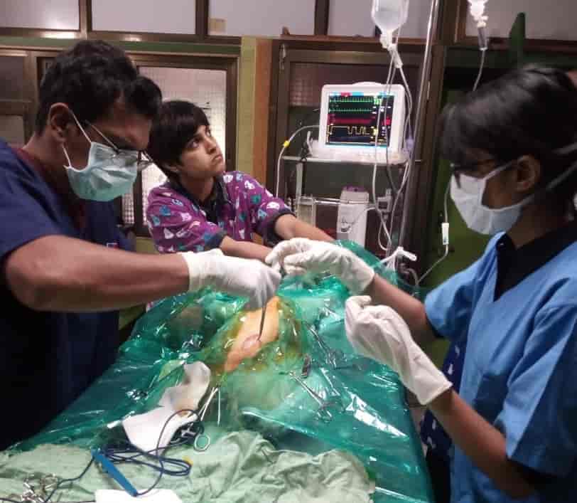 Dr. Aditya S Dhopatkar (Palm Beach Veterinary Dispensary) in Nerul