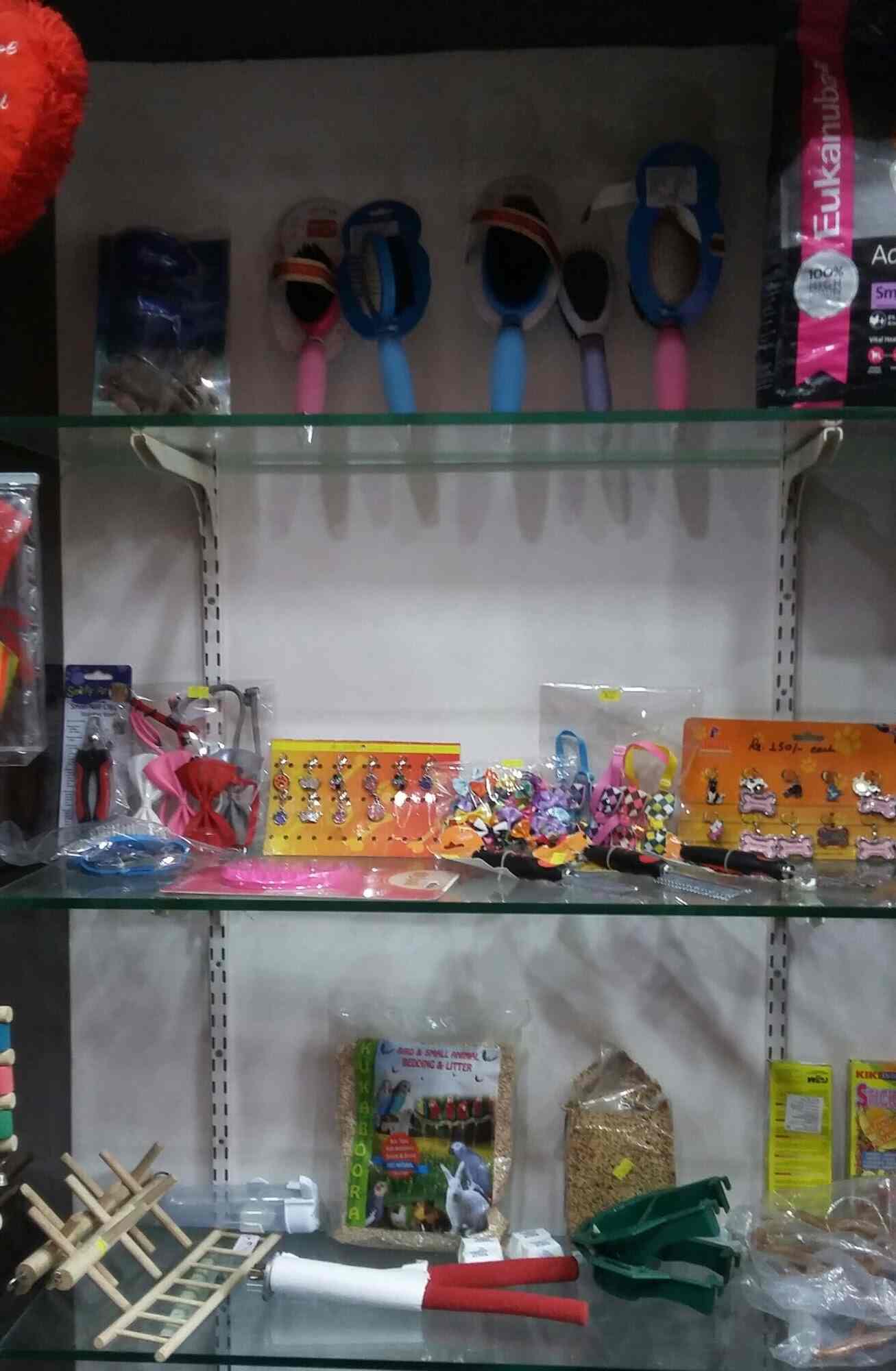 Top Dog Walker Dealers in Seawoods, Mumbai near me Justdial