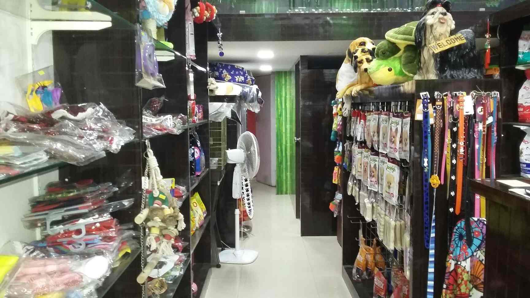 Top Dog Walker Dealers in Seawoods, Mumbai near me Justdial