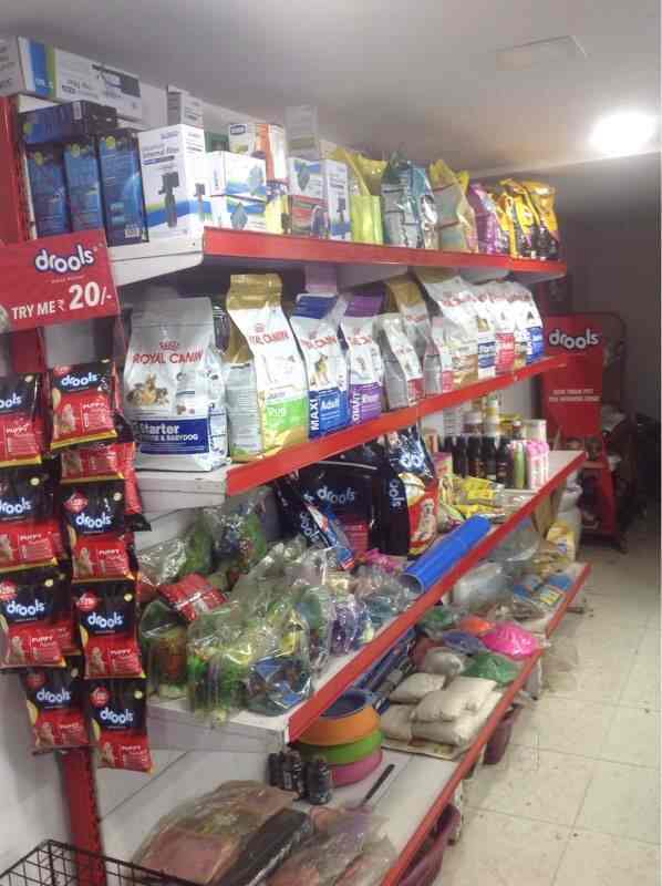 Tamezone Pet Shop and Aquarium in Airoli,Mumbai Best Aquarium