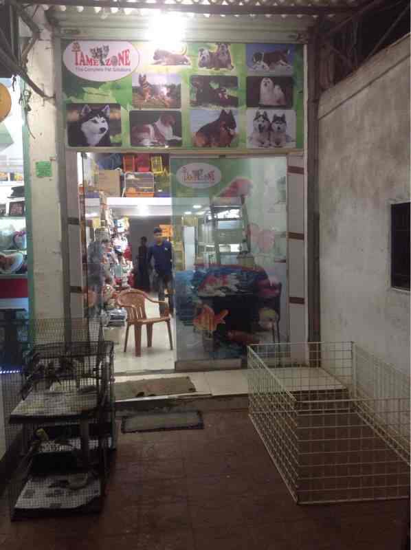 Tamezone Pet Shop and Aquarium in Airoli,Mumbai Best Aquarium