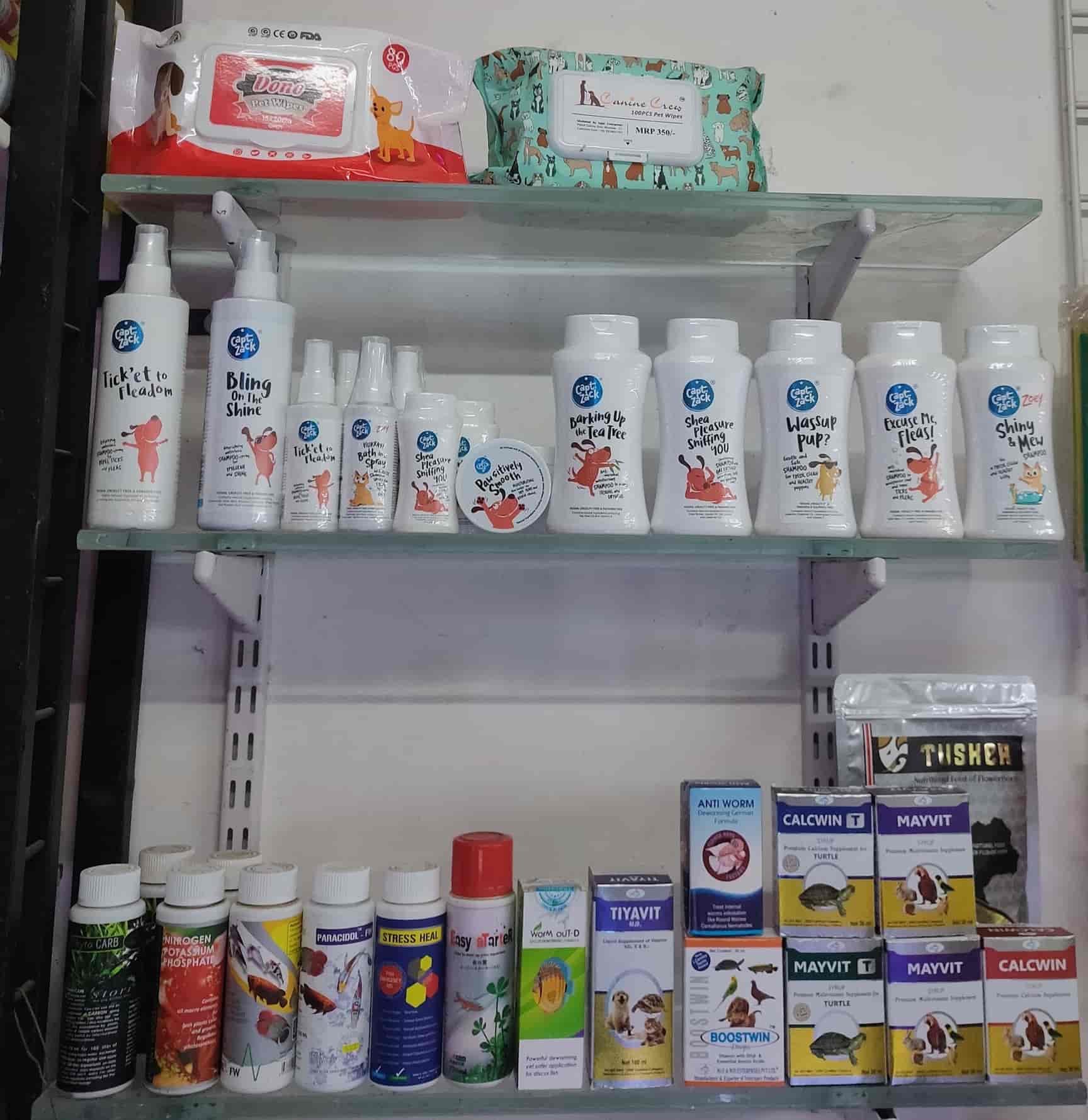 Golden Pets in Ulwe Sector 19,Mumbai Best Aquarium Fish Dealers in Mumbai Justdial