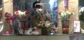 Florista.in (Little World Mall) in Kharghar, Mumbai