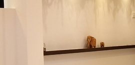 Top 100 Interior Designers For Beauty Parlour In Kamothe Best