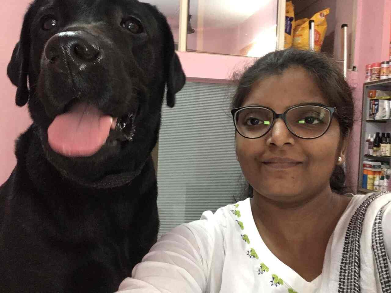 veterinary doctor in panvel