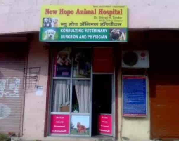 Dr reddy best sale pet clinic belapur