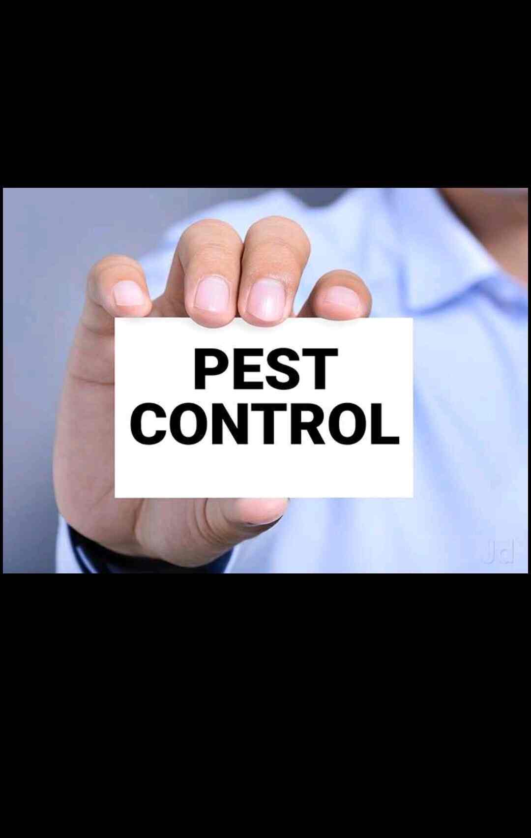 7 Star Pest Control Services in Kharghar,Mumbai Best Pest Control
