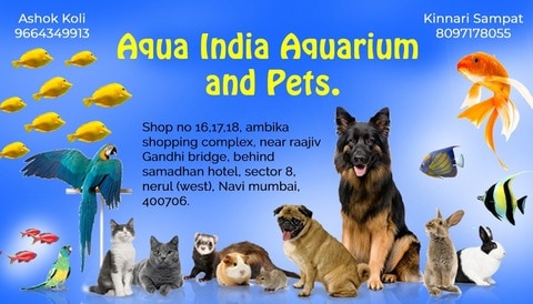 Aqua India Aquarium & Pets in Nerul,Mumbai - Best Pet Shops in Mumbai - Justdial Aqua India Aquarium & Pets in Nerul,Mumbai - Best Pet Shops in Mumbai - Justdial