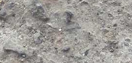 Sai Internet Service Provider in Nerul, Mumbai