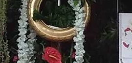 Ferns N Petals in Seawoods, Mumbai