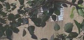 SICON in Cbd Belapur, mumbai