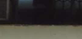 Bakers Treat in New Panvel, Mumbai