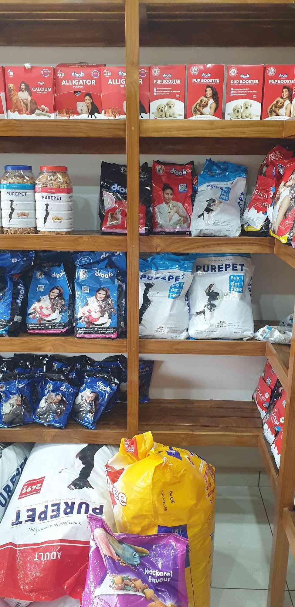 Top Pet Shops in Navsari Best Pet Store near me Justdial