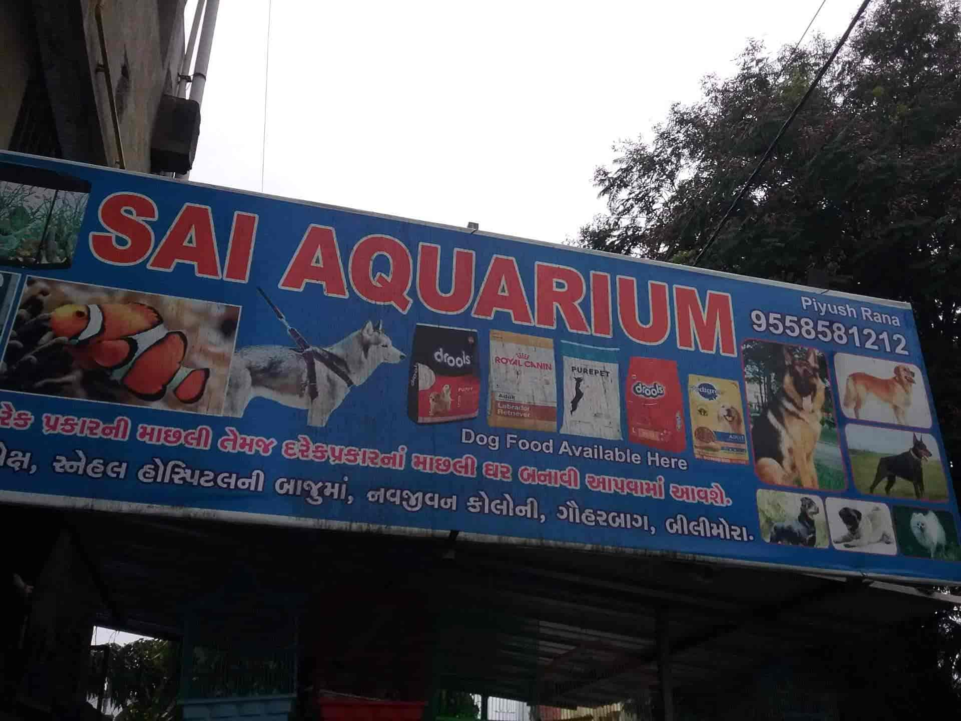 Sai aquarium best sale & pet shop