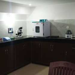 Lab view 10