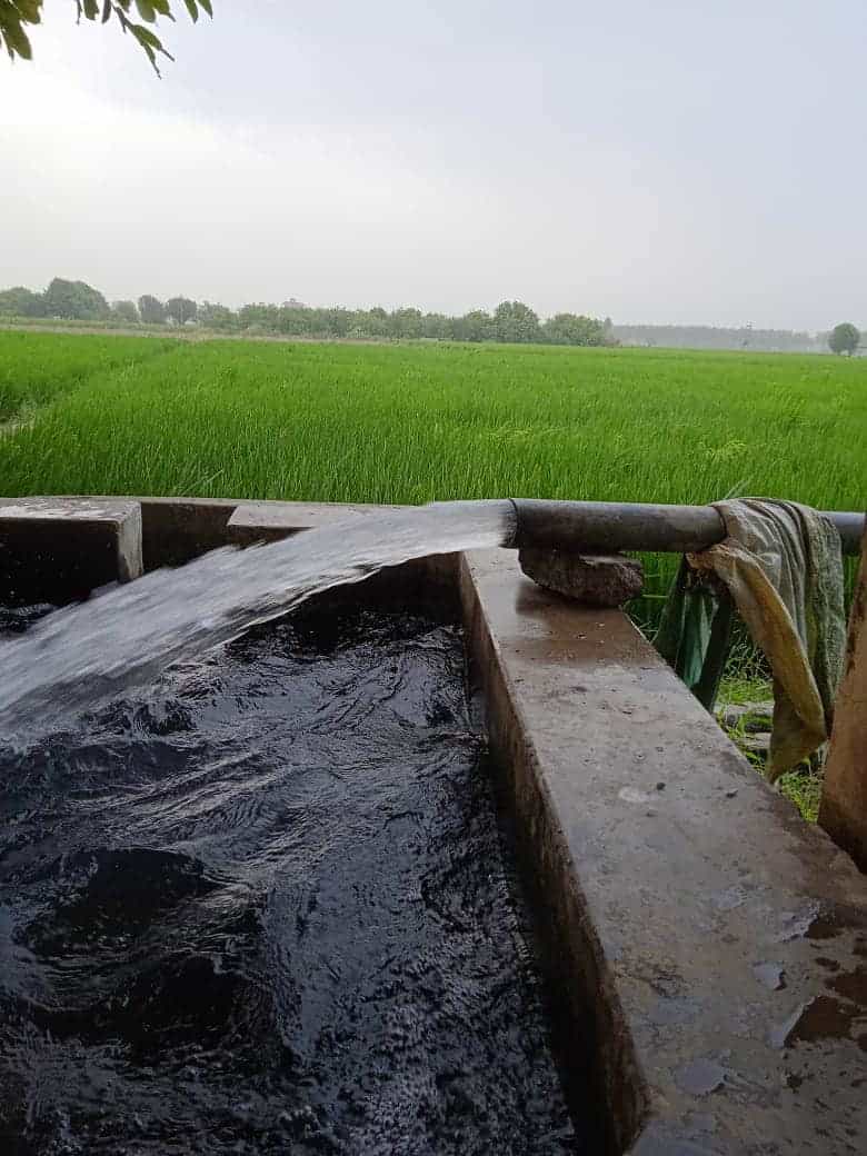 Top Estate Agents For Residence in Nawanshahr Best Property Dealers