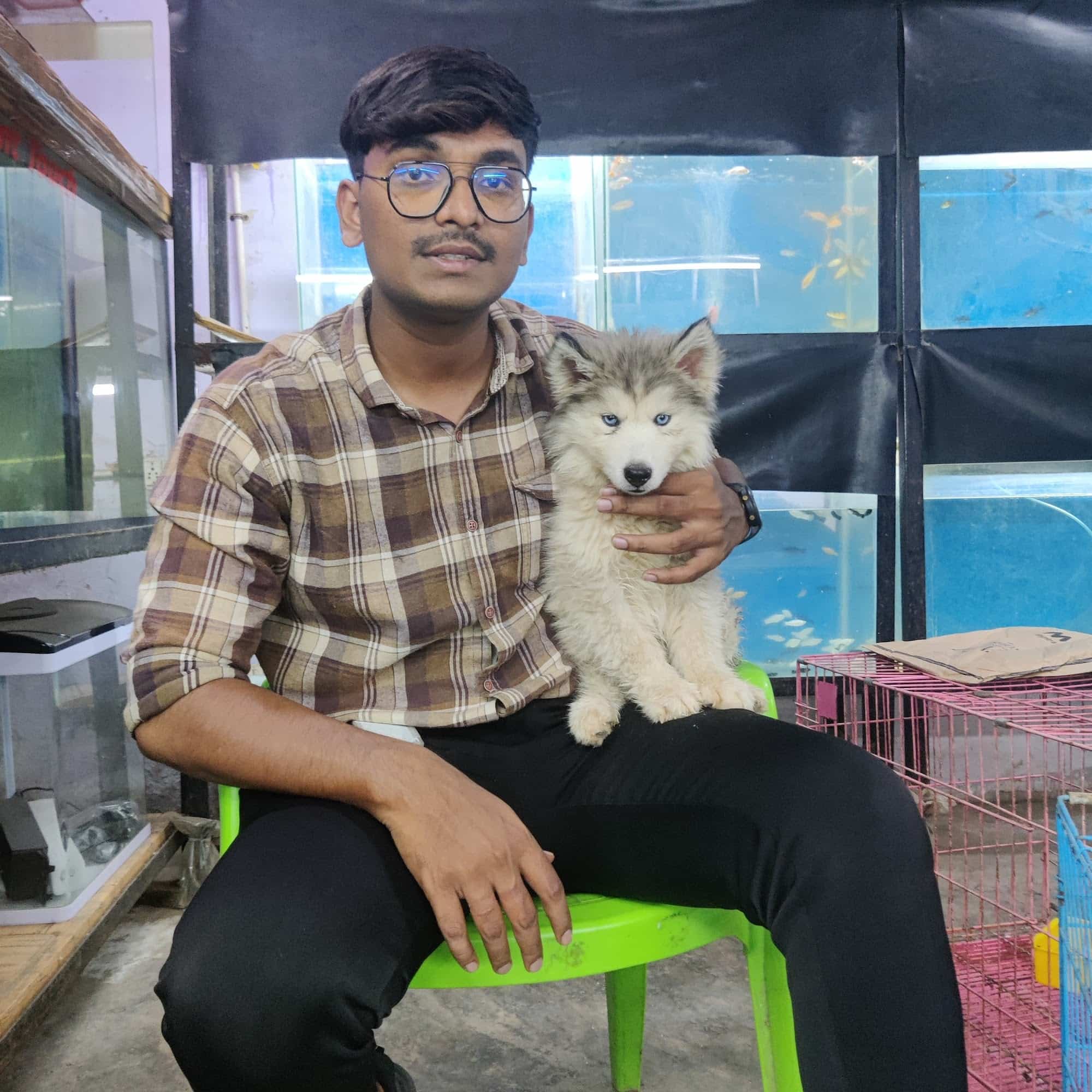 Top Pet Food Dealers in Nellore Best Pet Feed Stores near me Justdial