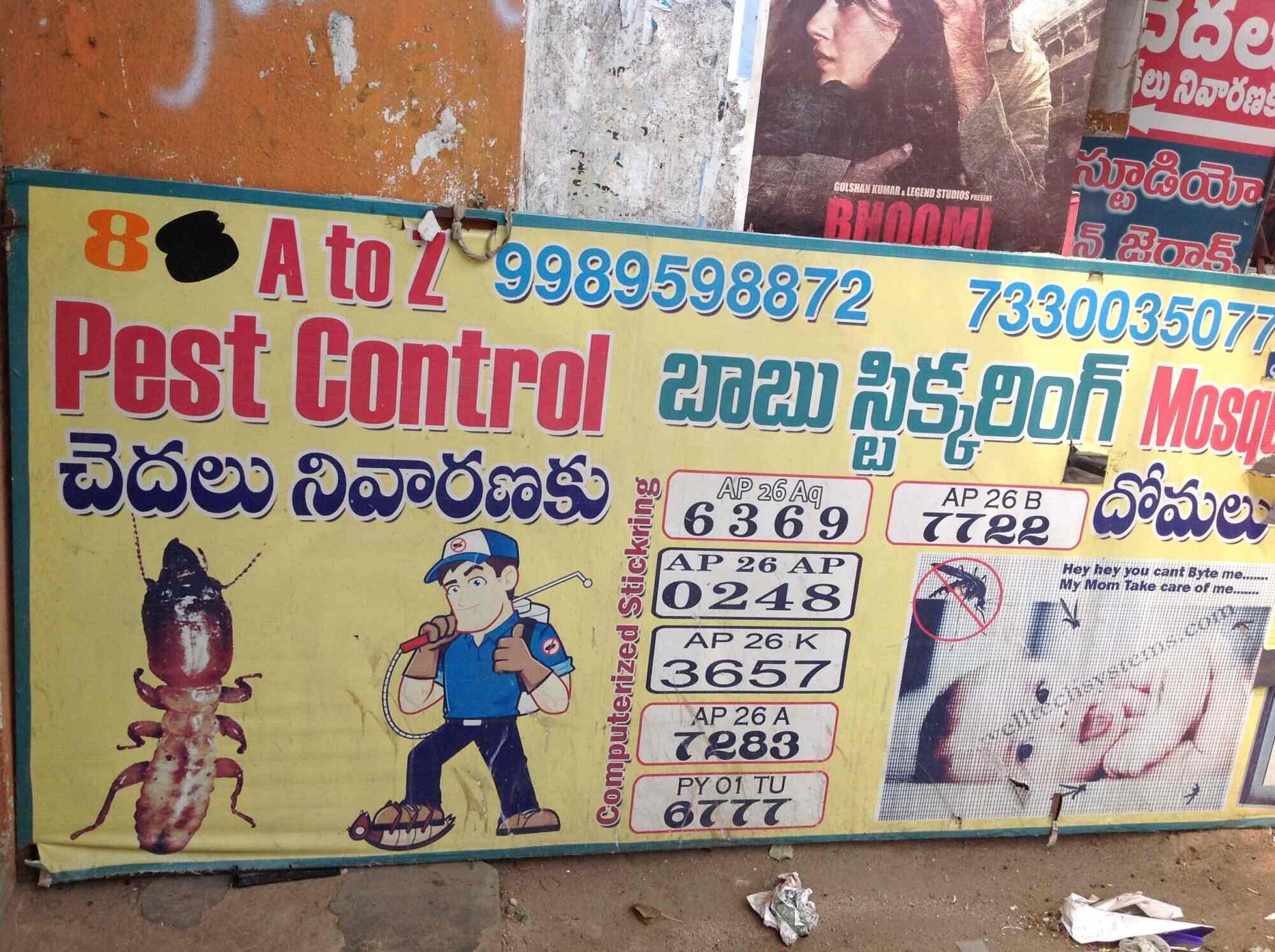 A To Z Pest Control Trunk Road Pest Control Services In Nellore Justdial