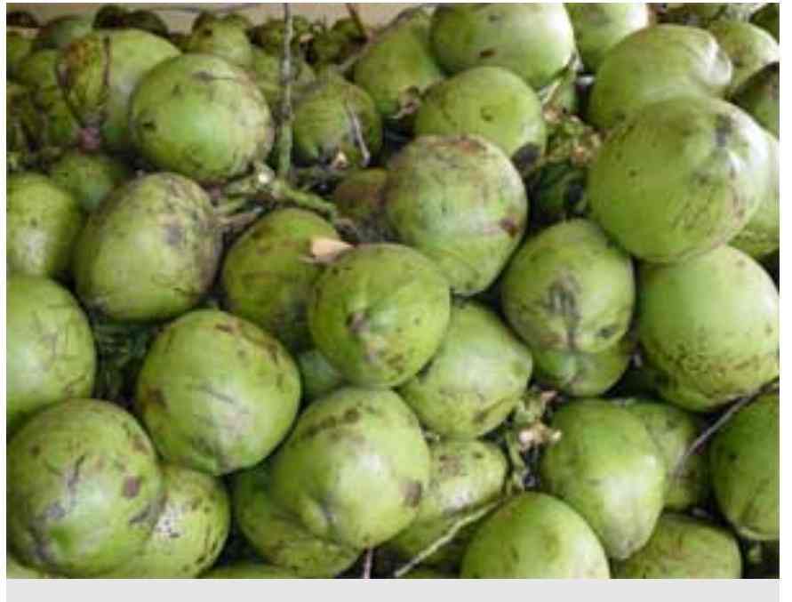 Top Fruit Juice Centres in Nizamabad Best Seasonal Juice Centres