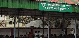 U P Roadways in Noida Sector 35, Delhi