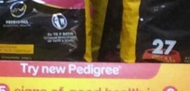 Noida 18 Pet Shop in Noida Sector 29, Delhi