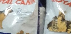 Noida 18 Pet Clinic in Noida Sector 29, Delhi