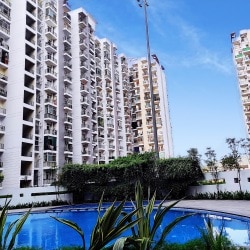 Swimming Pool - Prateek Westeria in Noida Sector 77,Noida - Best Swimming  Pools near me in Noida - Justdial