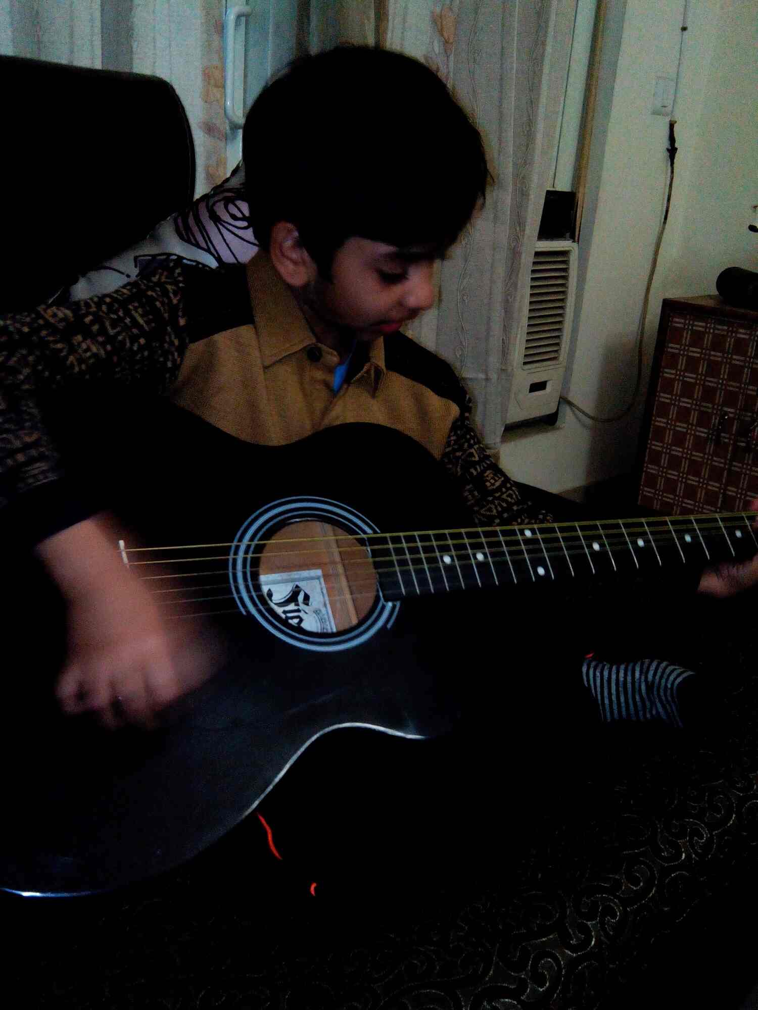 Music Home Classes in Noida Sector 99,Delhi Best Music Classes For