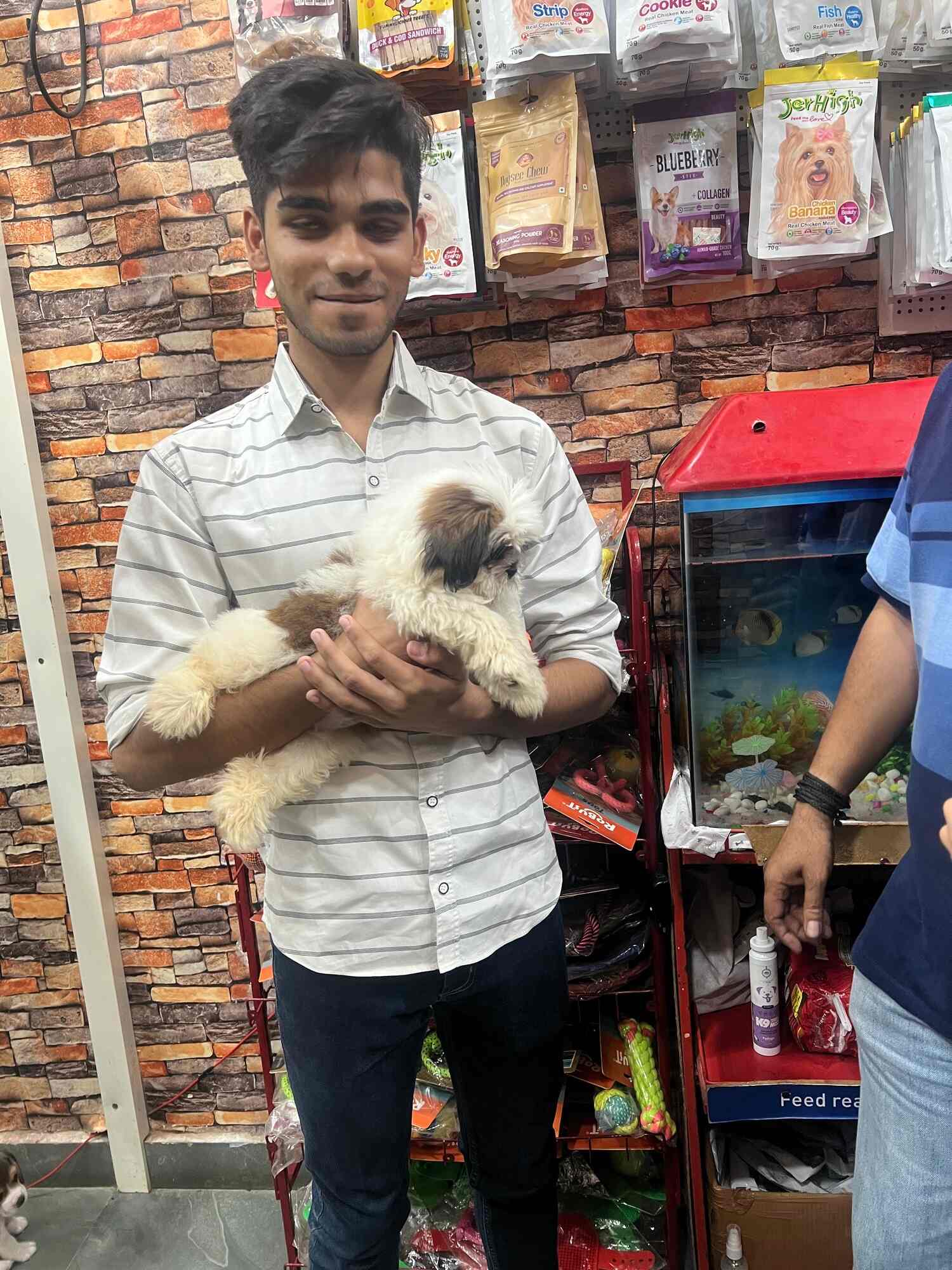 Top Pet Shops in Delhi Best Pet Store near me Justdial