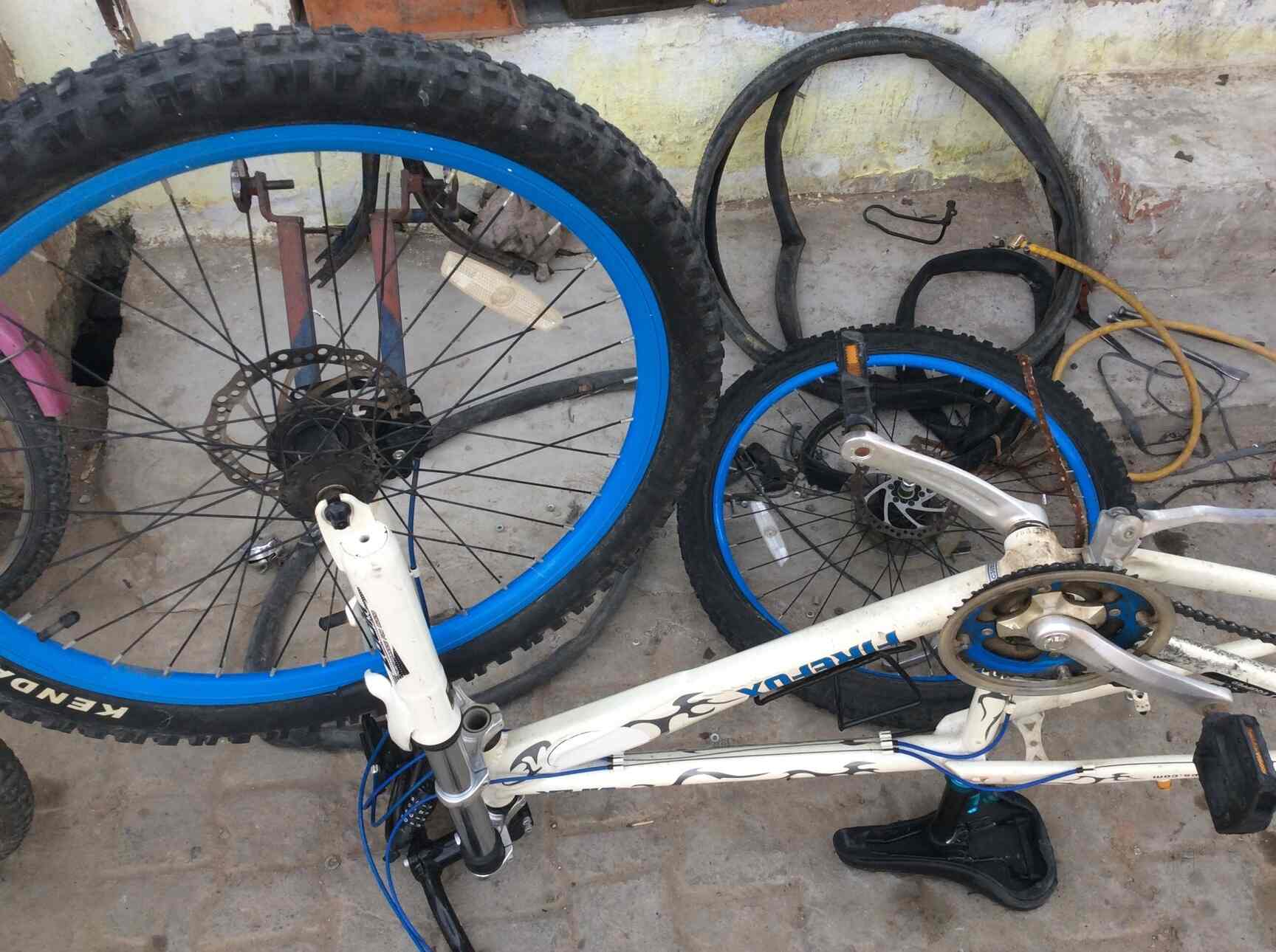Fiza Cycle Agency Photos, Greater Noida 