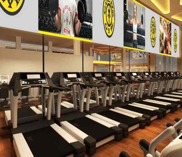 Top 50 Gyms in Noida Sector 125, Delhi Best Fitness Centres Justdial