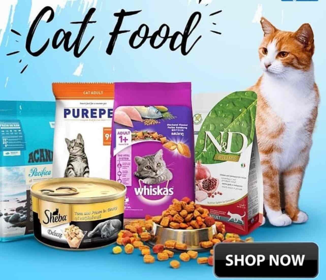 Paws N Claws Pet Shop in Noida Sector 74,Delhi Best Pet Food Dealers