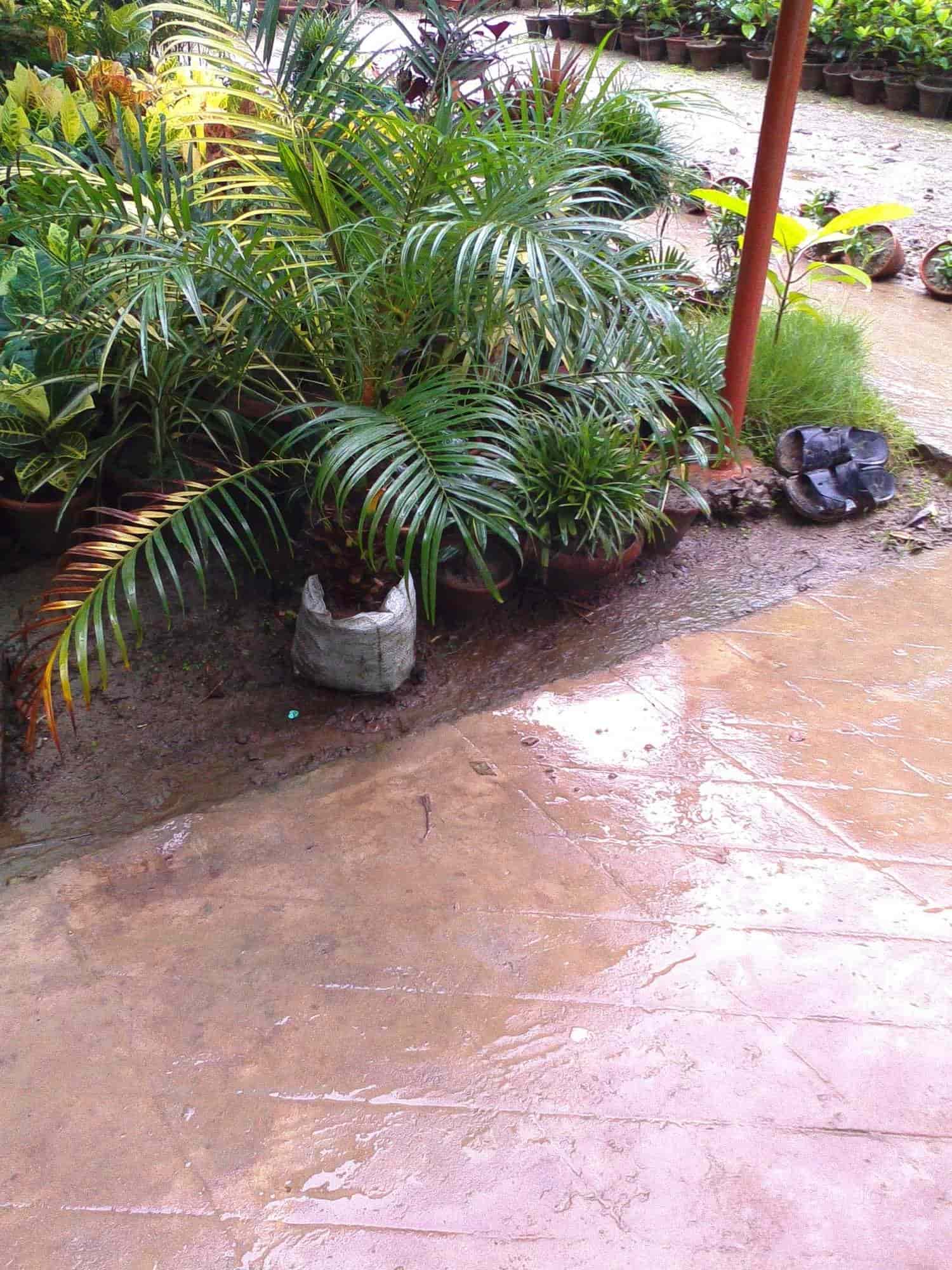 Top Plant Nurseries near Noida Sector 18 Metro StationNoida Sector 18