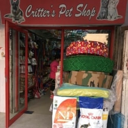 Critters Pet Shop in Sector 37 Delhi Best Bird Food Retailers in