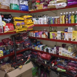 Critters pet sale store near me