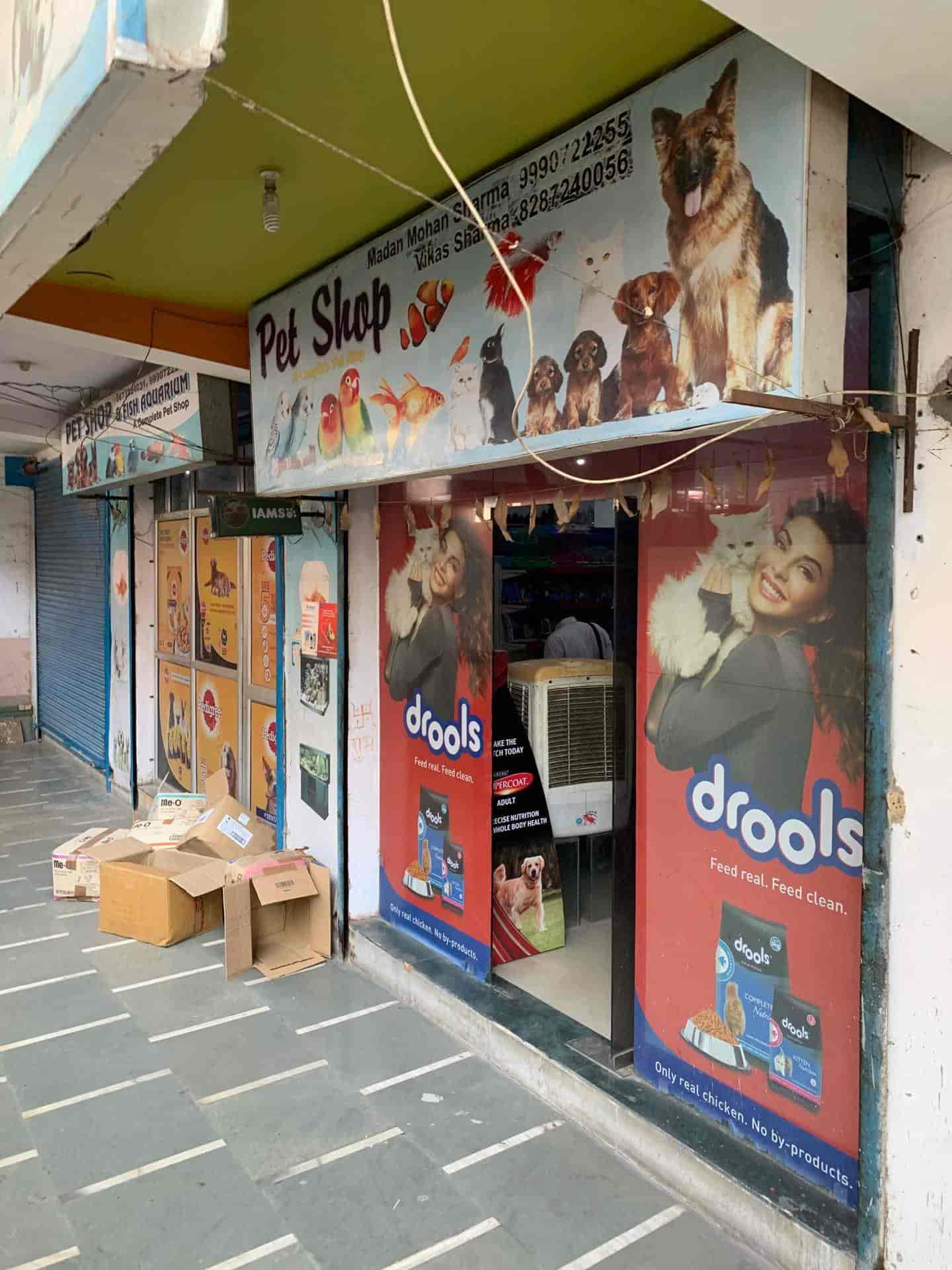 Pet Shop and Fish Aquarium, Gamma 1Greater Noida Pet Shops in Noida